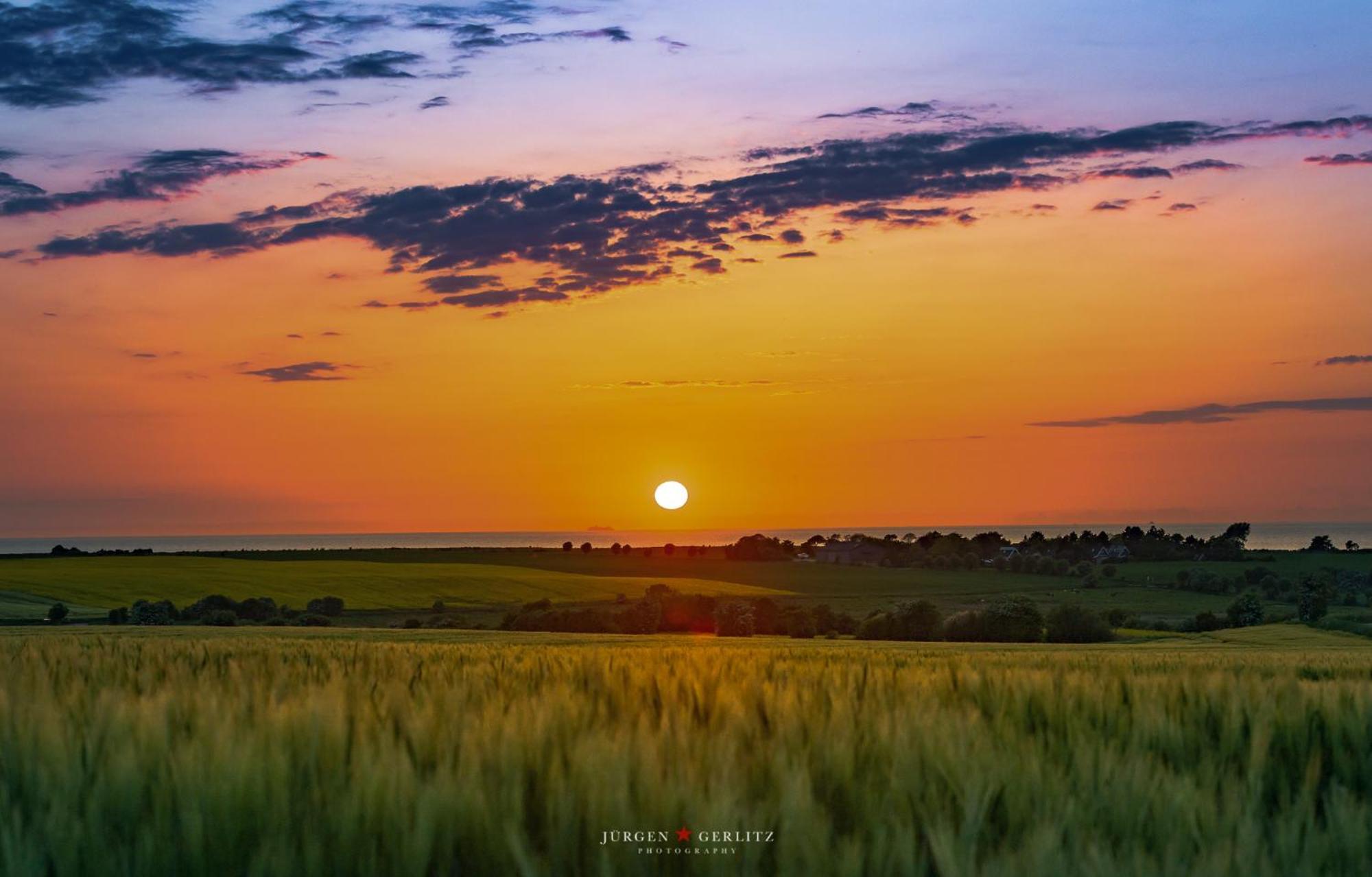 Ostseeoase دامب المظهر الخارجي الصورة